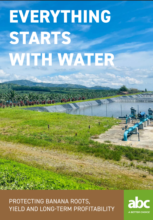 PDF Preview - Everything starts with water