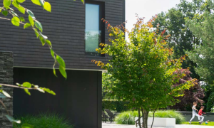Verano V566 Inbouw Ritzscreen