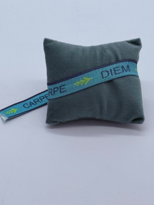 Carpe Diem Balance