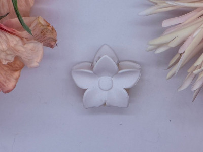 Snow Blossom