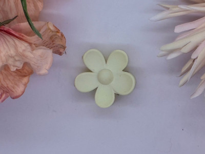 Soft Pistachio Bloom