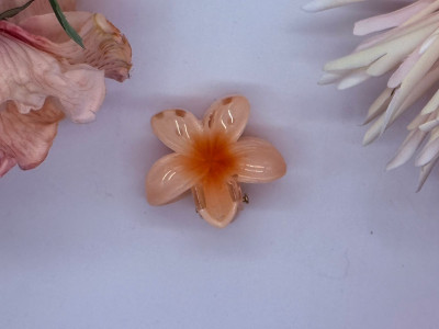 Apricot Kiss