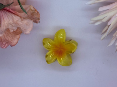 Sundrop Flower