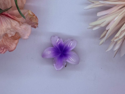 Fairy Bloom