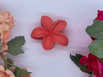 Terracotta Bloom