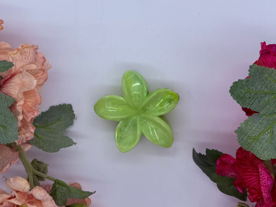 Lime Dew Bloom