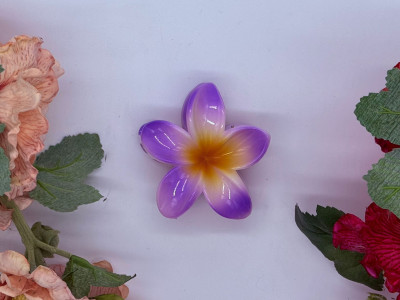 Amethist Zonnegloed Bloem