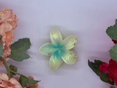 Sea Pearl Bloom