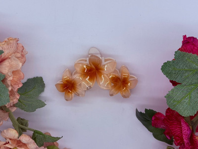 Honey Glow Blossom Trio