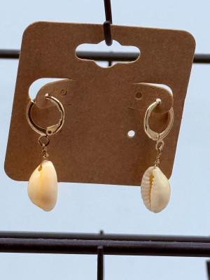 Ocean Shell